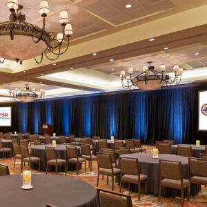 CDPSR Annual Meeting (Only) Registration